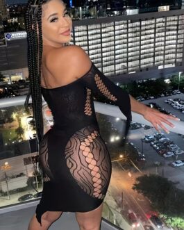 Numa Sexy Hollow Long Split Sleeve Stretchy Bodycon Dress