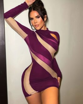 Sexy Bodycon Cut Out Mesh Splicing Dress