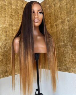 Highlight Honey Blonde Brazilian Remy Human Hair Wig with T Part and Lace Front